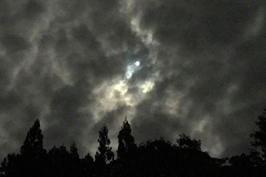 ���H�̖����͂���Ȋ���