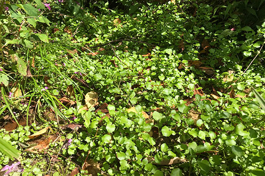 �N���\��������Ă��܂��B