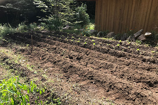 ���Ƀ^�l���܂��܂����B