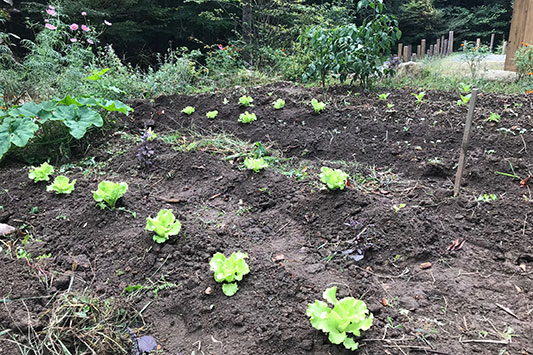 ���^�X�̕c�����������܂����B