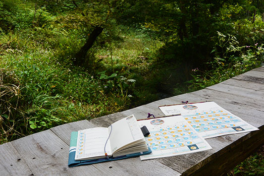 ���N���o�����܂����B