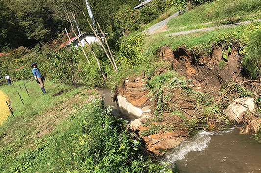  ���ׂ���̋����E�E�E