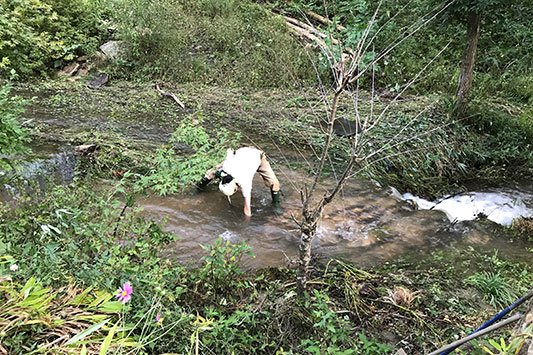 ���̉��ɂ͋����E�E�E