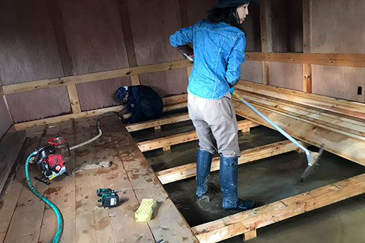 ��͂̂قƂ�̑�