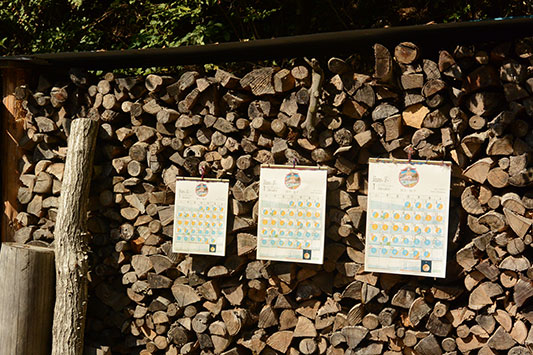  �J�����_�[�͂R�T�C�Y