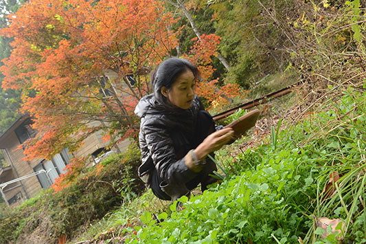 �g�t�A�N���\���A�悵�q