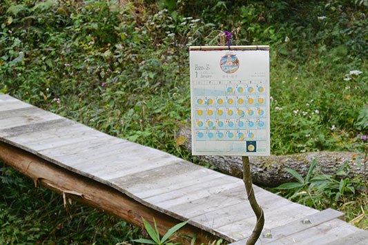 �H�̂���݂̂��b��