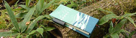 �H�̂���݂̂��b��