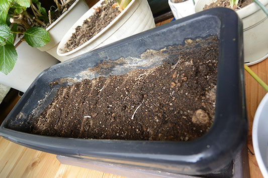 �^�l������