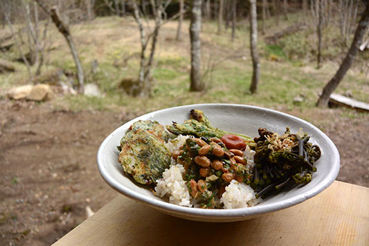 ��������