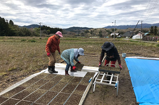 �c���Y��ɕ��ׂ�