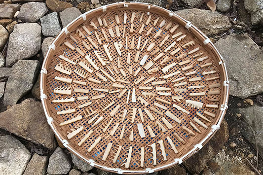 �^�P�m�R�����