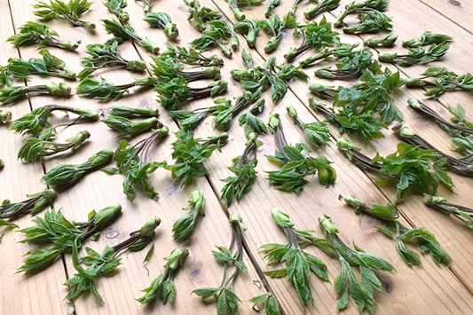 �R�V�A�u����䶗�