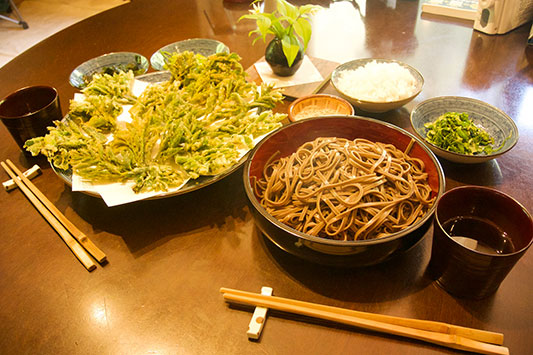 �E�h�̓V�Ղ狼��