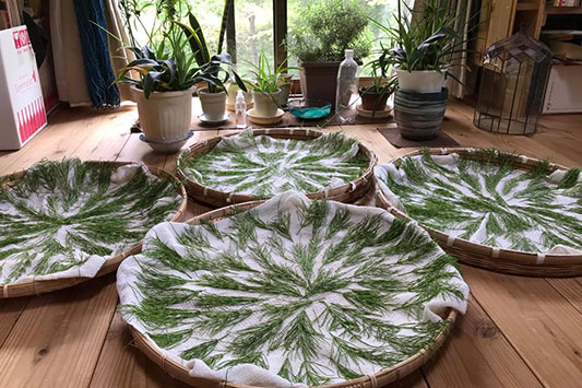 �X�M�i������������