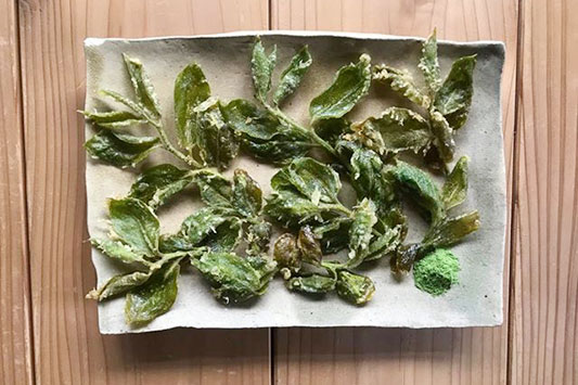 �`�̗t�̓V�Ղ�