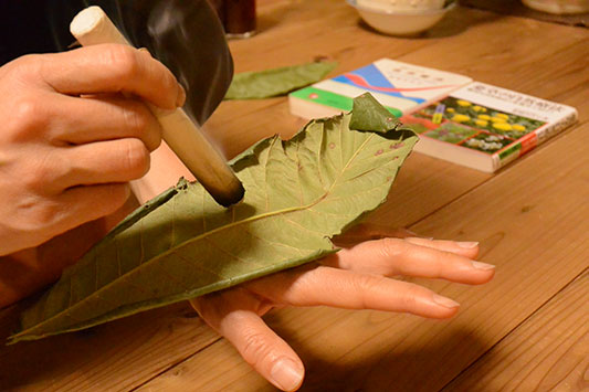 �r���̗t���g����