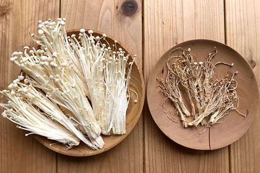 �L�m�R�������܂�