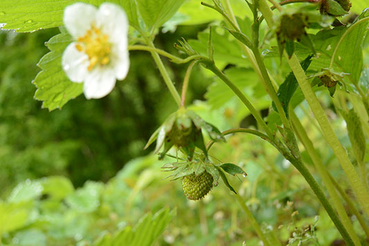 ���������o�������ł��B