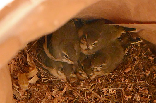 ���������o�������ł��B