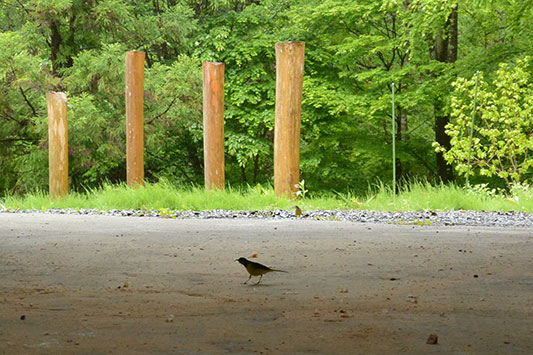 ���������o�������ł��B