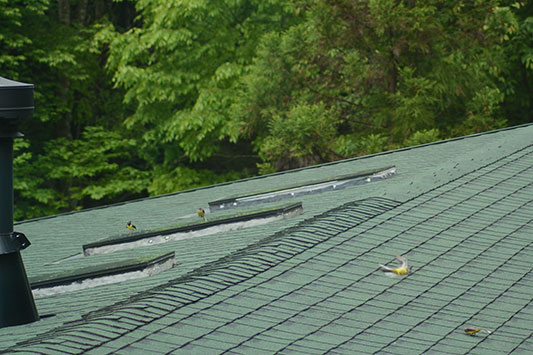 ���������L�Z�L���C