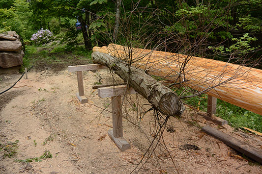 �͂ꂽ�N���̖�