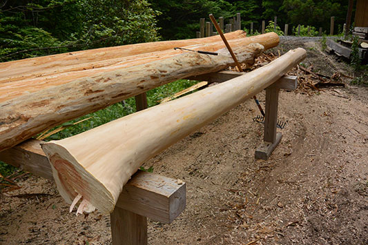 �Y��ɔ������q�m�L