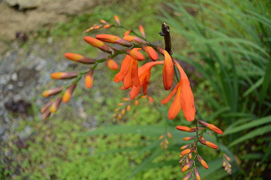 �Ԃ̒��Ԃɓ��肽���̂��ȁH