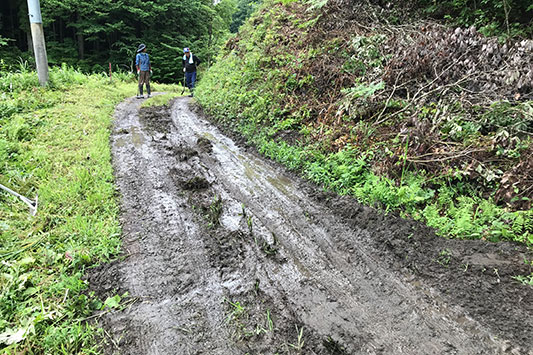 �����ʂ����ł���