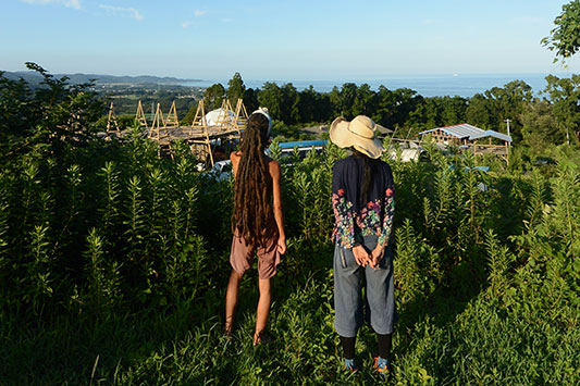 �Ђ傤����s��S�e