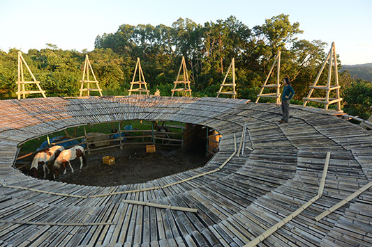 ����������ƂŊ����H�Ђ傤����s��̉���