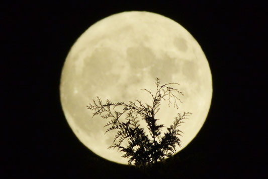 �͂���ߌ��̃J�����_�[