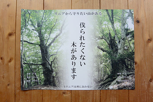 ���j�A�͗��ɍ���Ȃ�