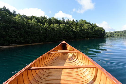 ���̎蒠��p�J�o�[