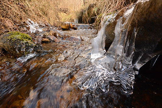 �򂪓����Ă���