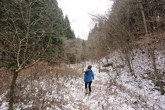 �U���̕��i