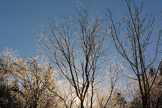 �؂��ቻ��