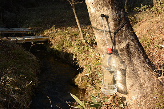 ���[�v�����t�̎�