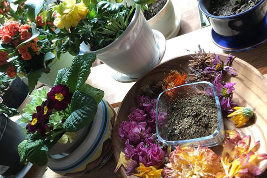 �L�t�B�A�n�����Ԃɓ���܂��B