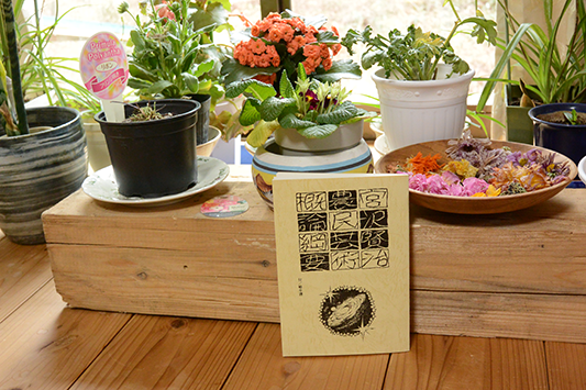 �_���|�p�T�_�j�v�@���_�@�{�򌫎�