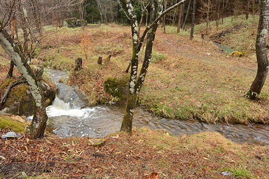 �J�ŏ�������������������