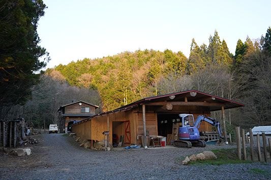 �����h�̗l�q