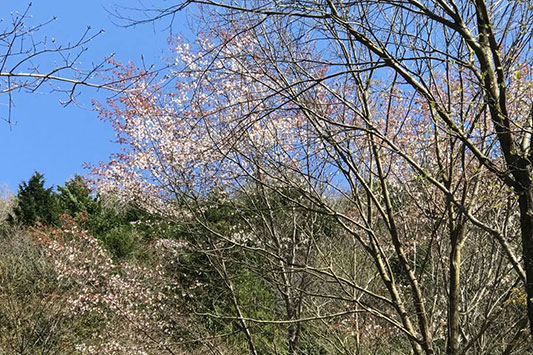 ���}�U�N��