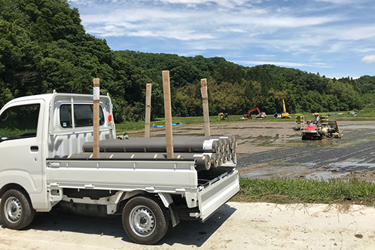 �c�A���̎�`��