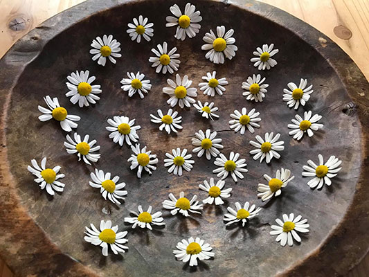 �J���~�[��