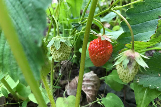 ���������ł��Ă��܂���