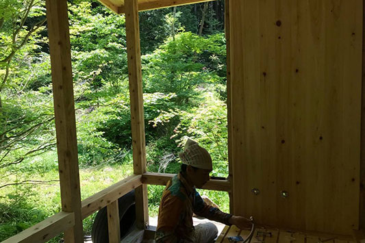 �����C�̑��𑝂₷