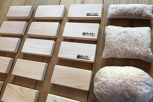 �q�m�L�̖h����