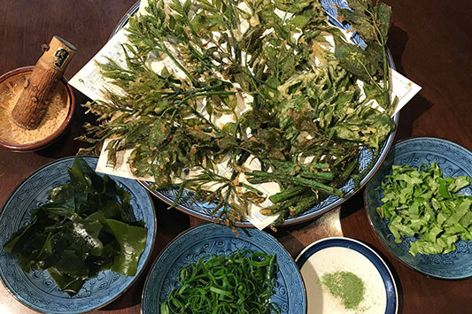 �쑐�V�Ղ炻��